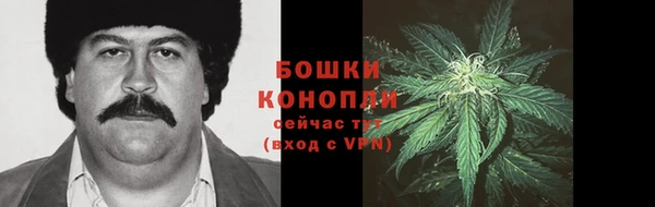 COCAINE Белокуриха
