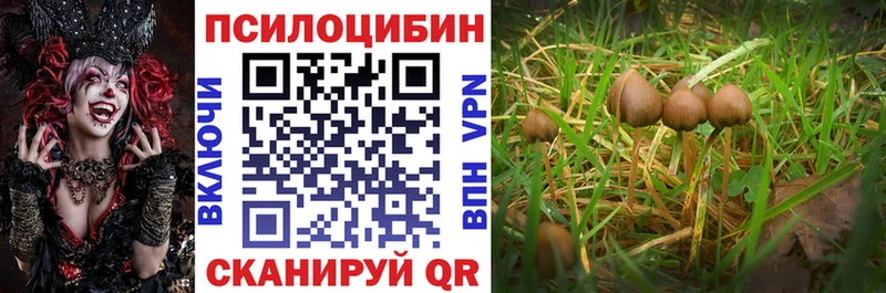 shop официальный сайт  где найти наркотики  Очёр  Галлюциногенные грибы Magic Shrooms 